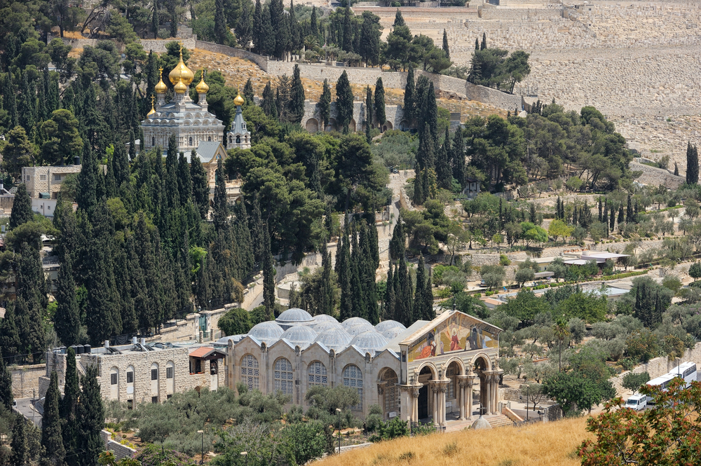 Monte de los Olivos en Jerusalén