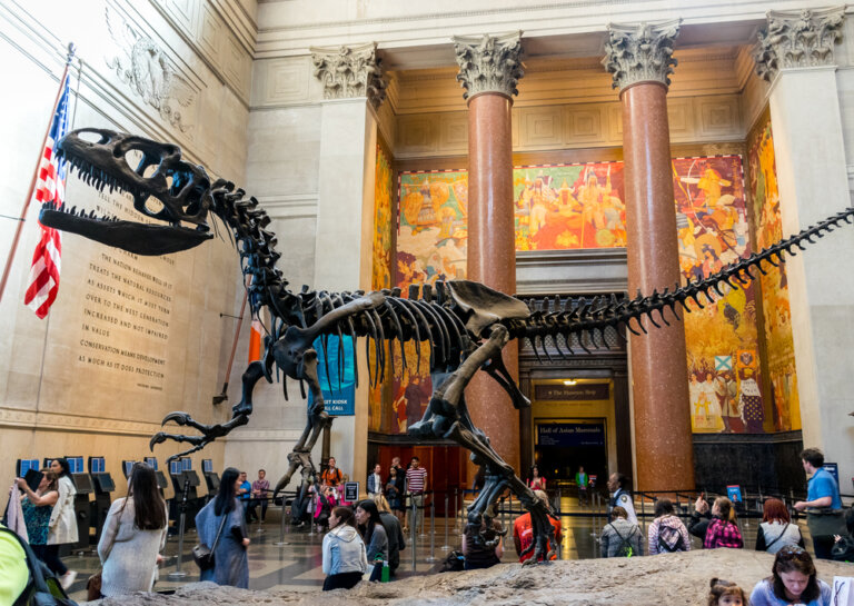 Visitamos el Museum of Natural History de Nueva York