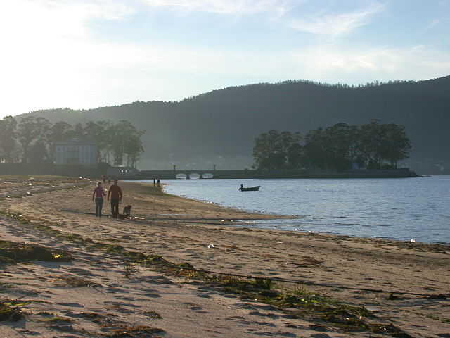 Playa de Cesantes