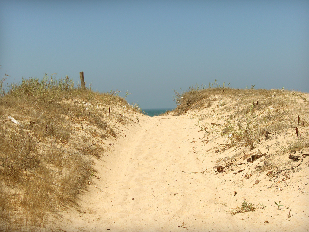 Playa de la Mangueta en Cádiz