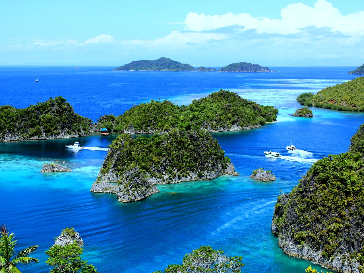 Raja Ampat en Indonesia