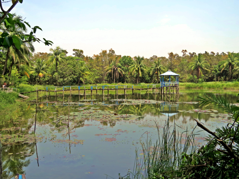 Manglares de Sundanbarns