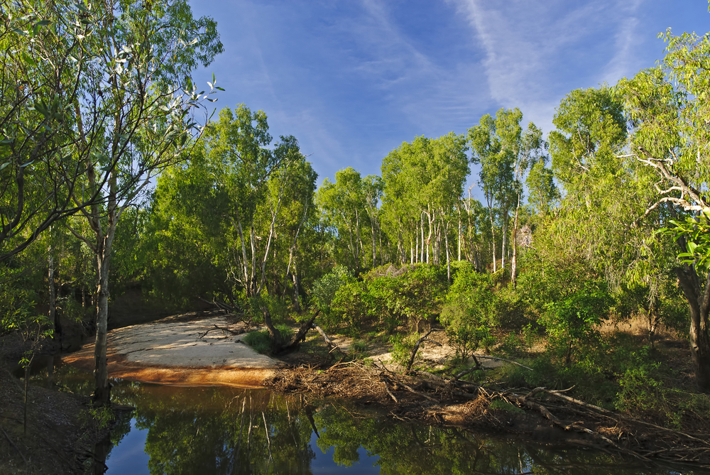 Billabong en Darwin