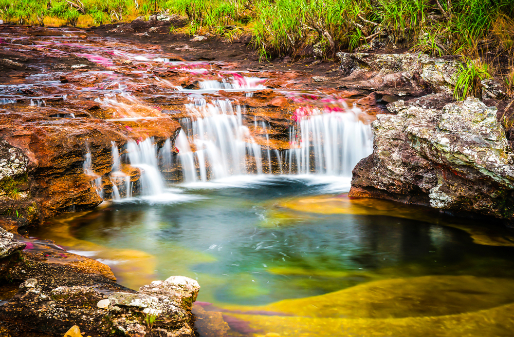 Poza que muestra la magia de Caño Cristales
