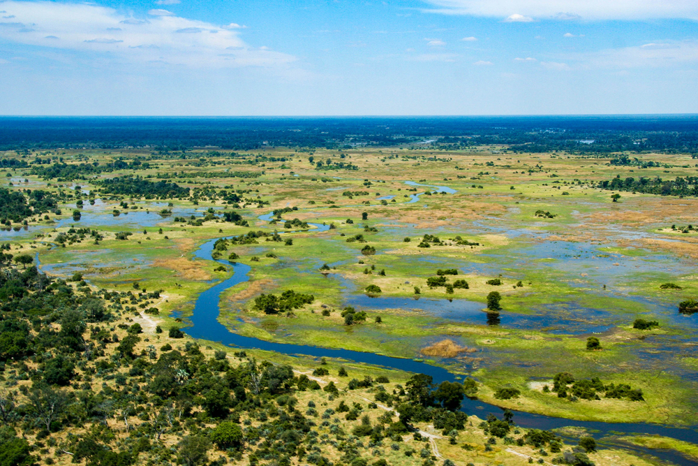 Botsuana: naturaleza salvaje en el delta del Okavango - Mi Viaje