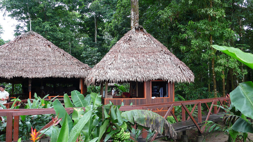 PArque Nacional Natural Amacayacu