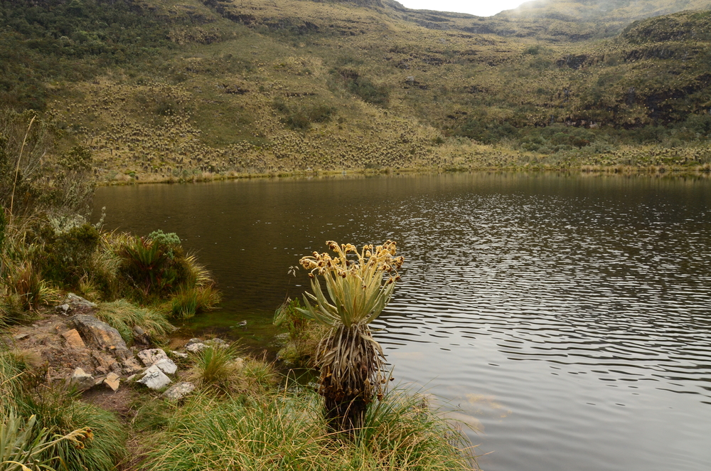 Laguna de Iguaque