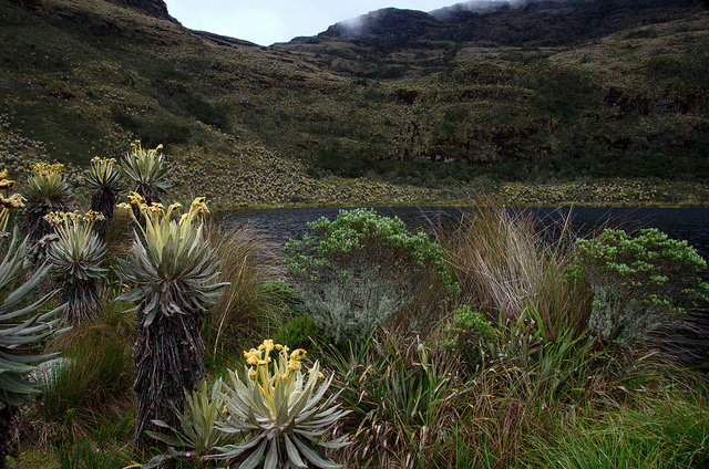 Laguna de Iguaque