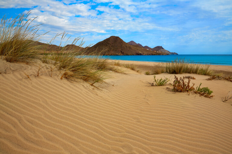 Disfruta de las mejores playas del sur de España