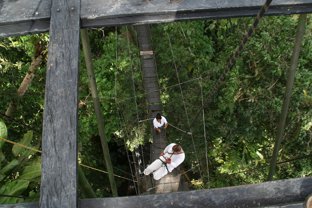 Ruta ene l Parque Nacional Natural Amcayacu