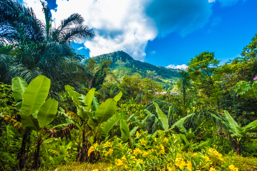 Parque Nacional de Ranomafama