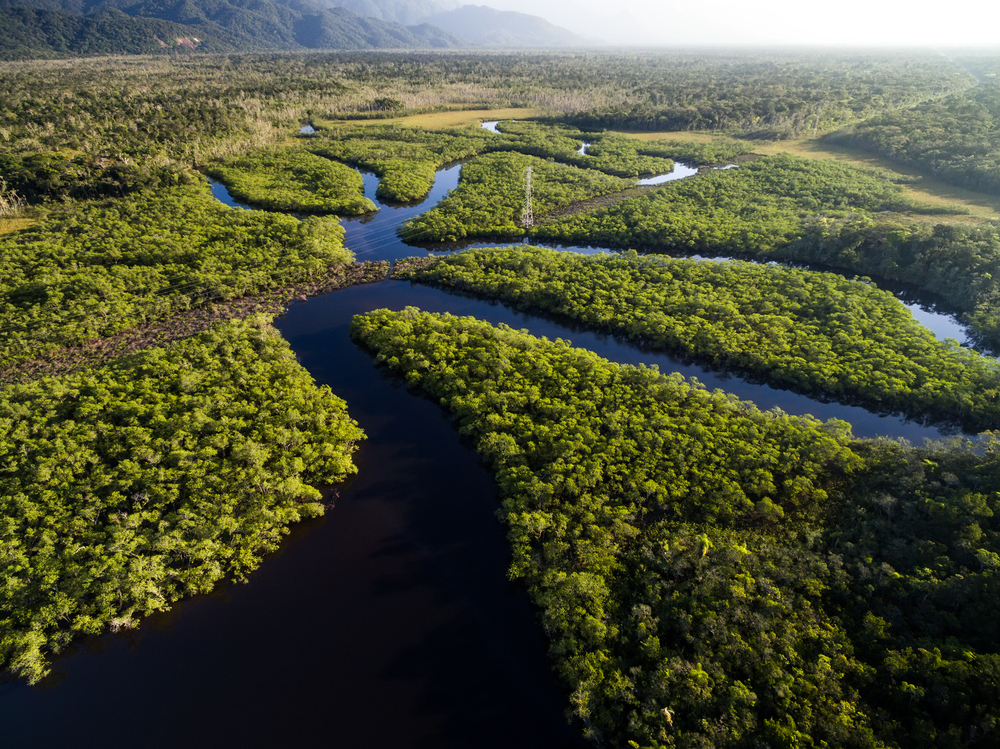 Selva amazónica en Brasil