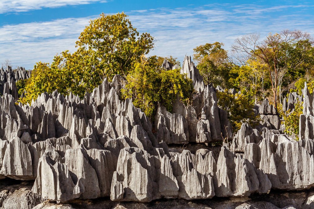 Tsingy de Madagascar