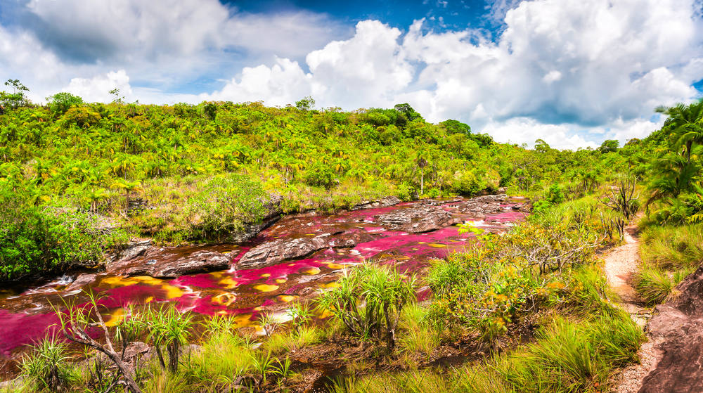 Vista de Caño Cristales
