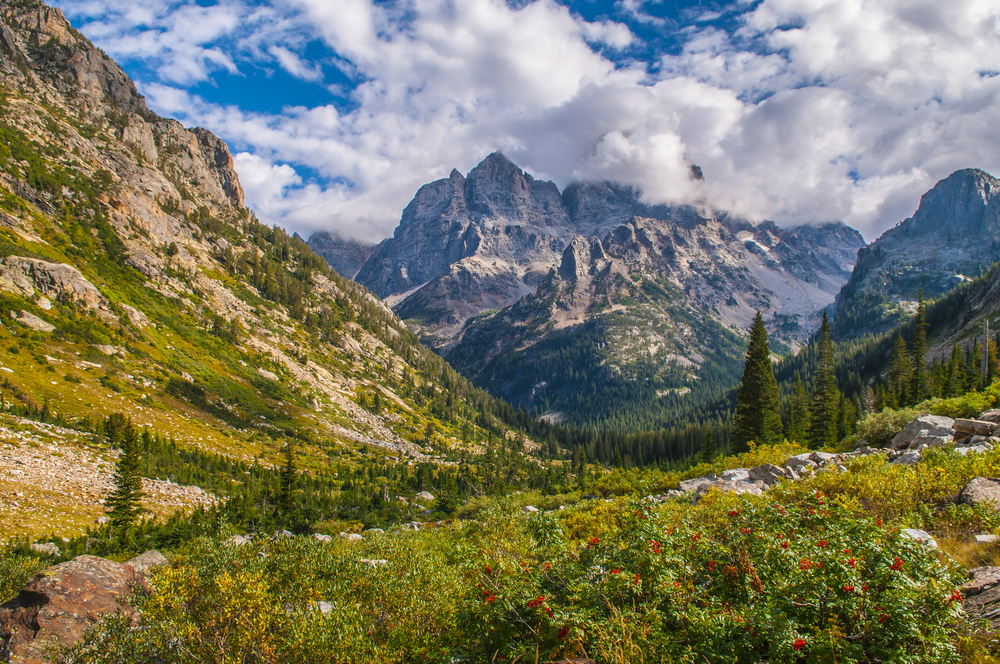 Parque Nacional Grand Teton