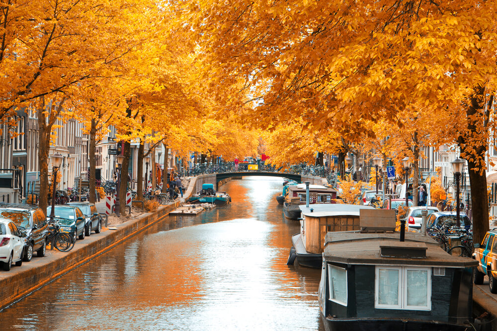 Canal de Ámsterdam en otoño