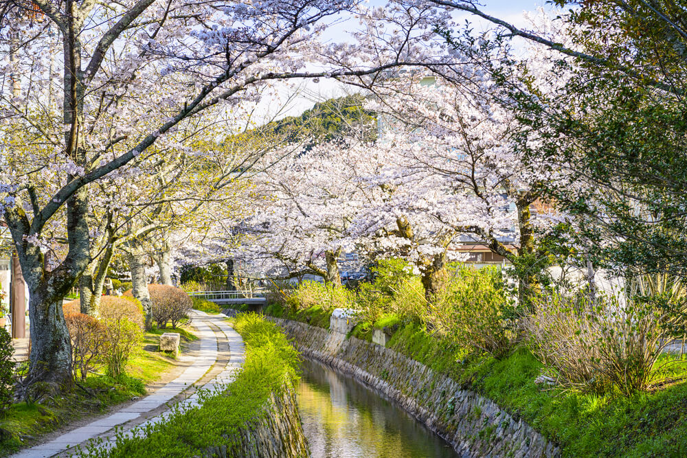 Camino de los Filósofos en Kioto