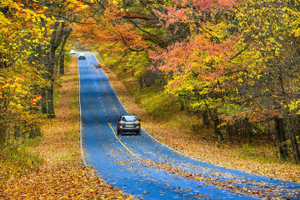 Ruta en coche por una carretera secundaria