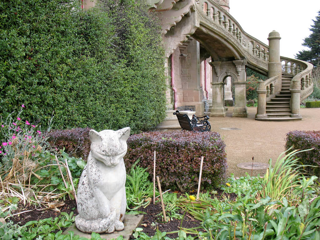 Gato en el jardín del castillo de Belfast