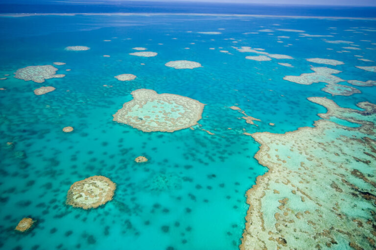 Actividades en la Gran Barrera de Coral en Australia