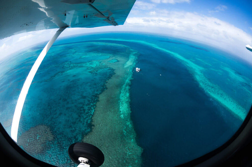 Barrera de coral en las islas Whitsunday