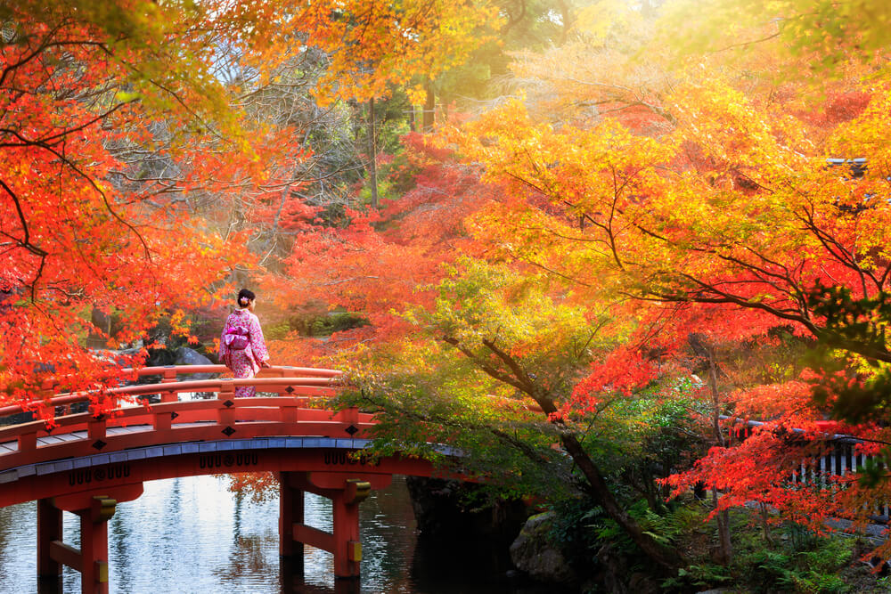 Kioto en otoño