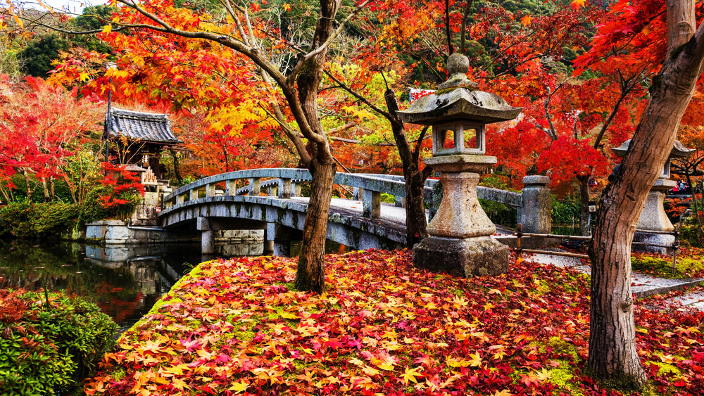 Parque de Kioto en otoño