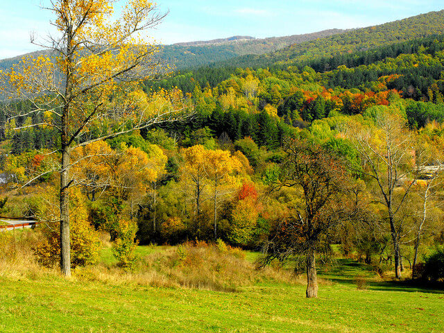 Parque Vistosha, uno de los lugares de Bulgaria que hay que ver