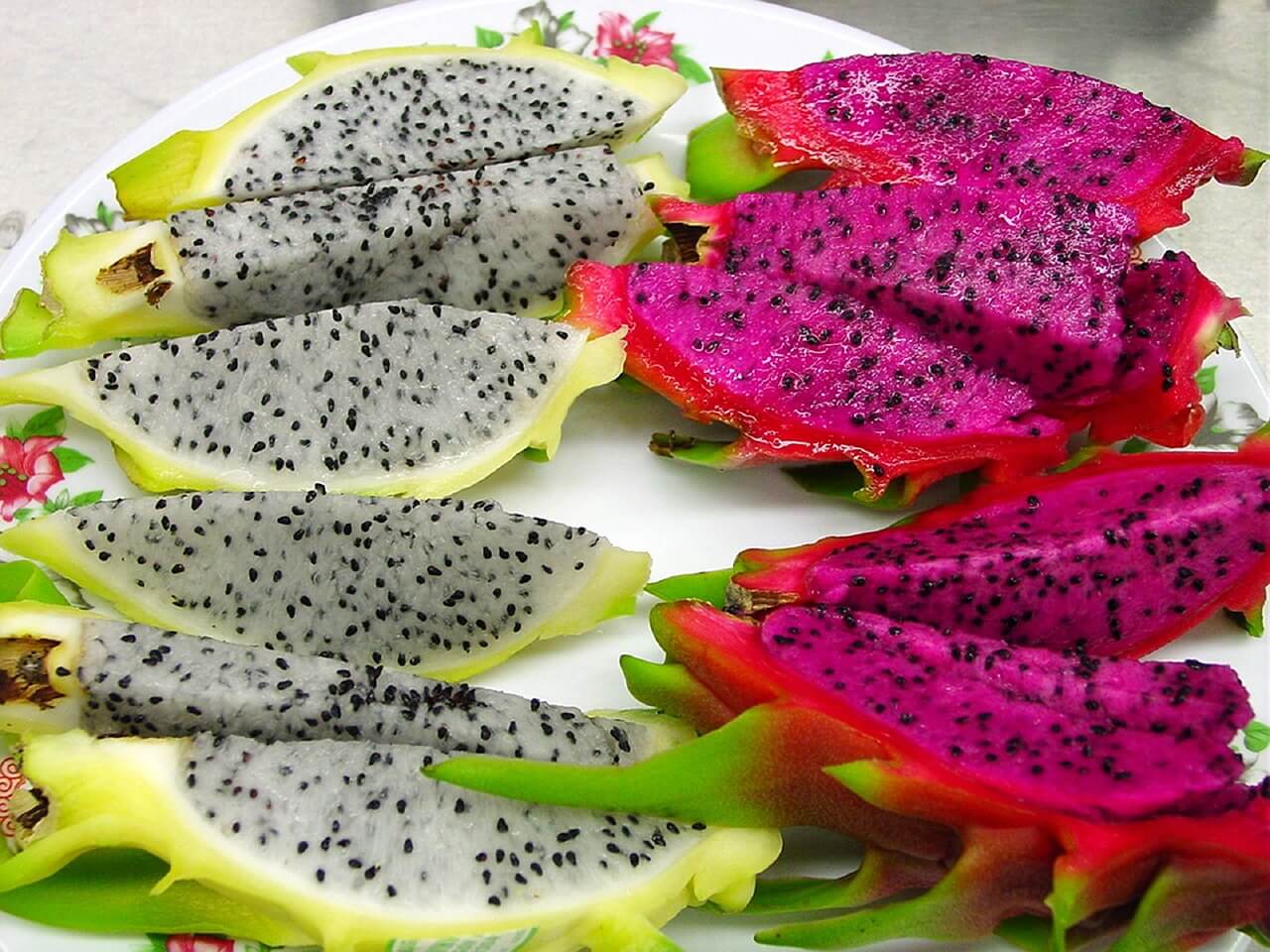 Pitahaya, una de las frutas más exóticas de México