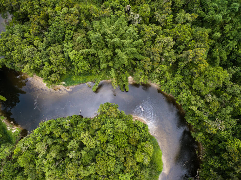 Río en la selva amazónica