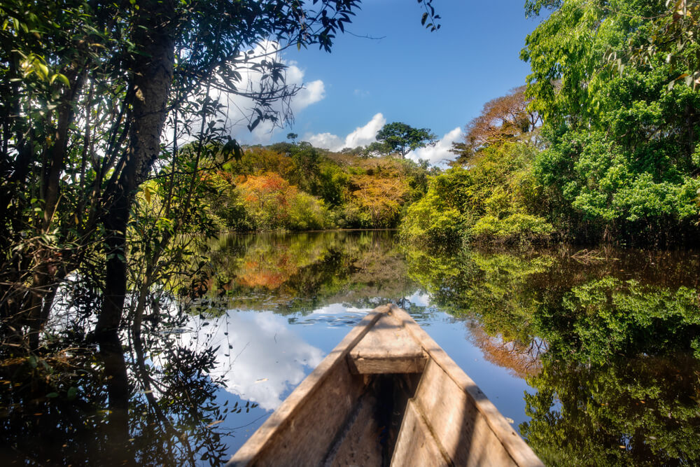 Selva amazónica en Colombia