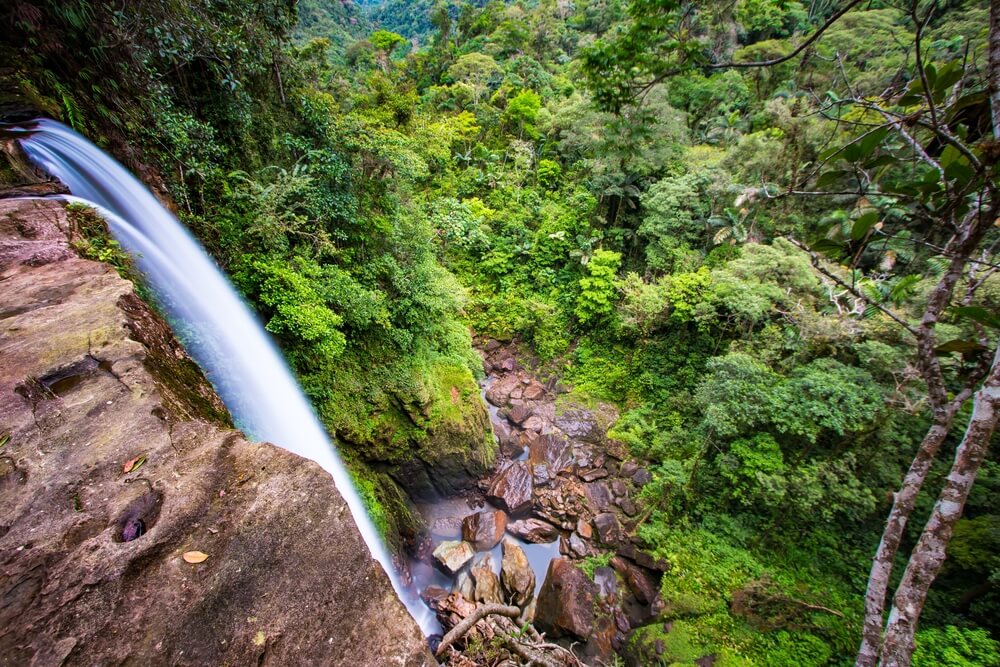 Selva amazónica en Colombia