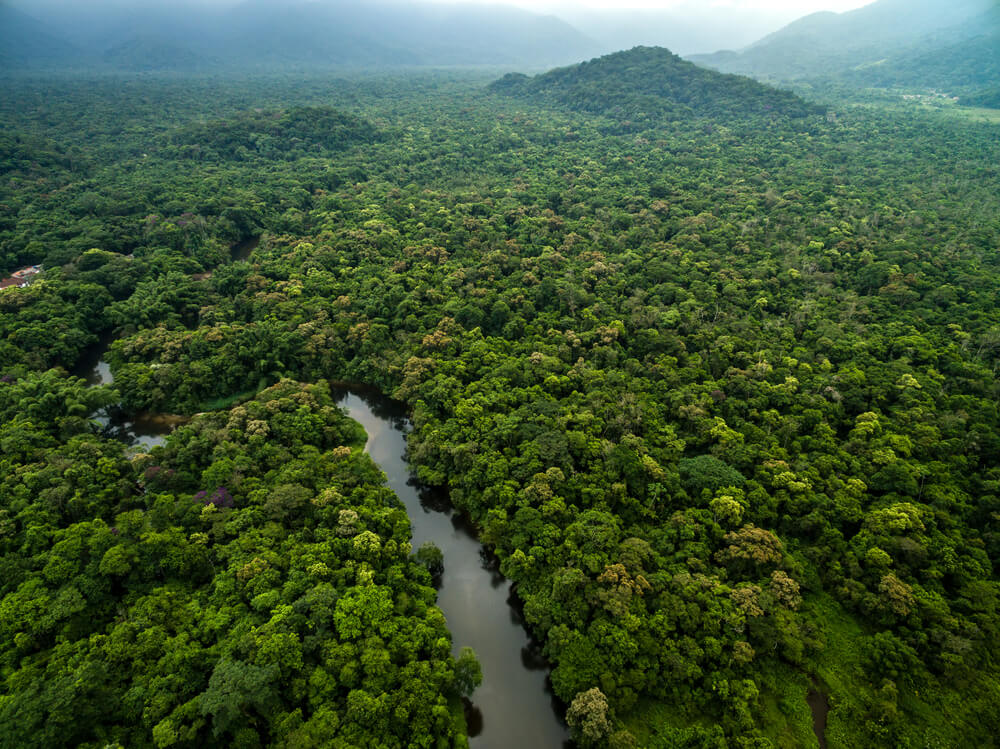 Selva amazónica desde el aire