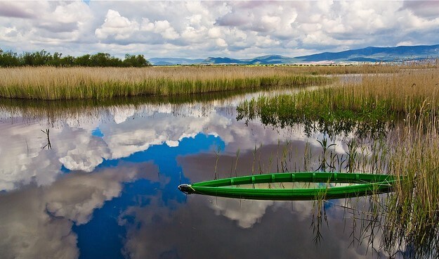 Tablas de Daimiel en Ciudad Real