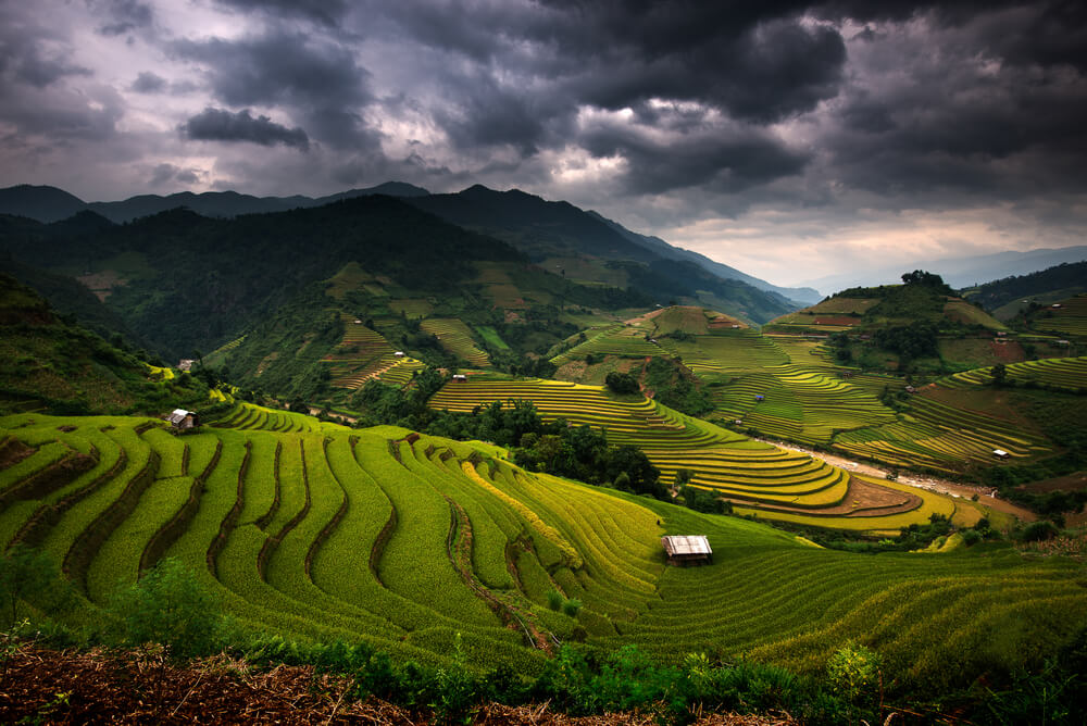 Terrazas de arroz en Filipinas