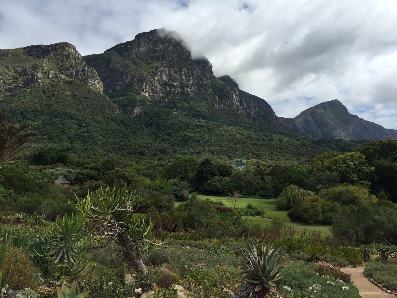 Base de la Table Mountain