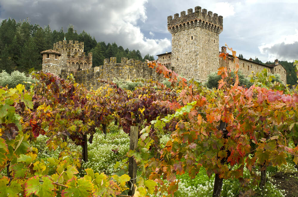 Bodega en el valle de Napa