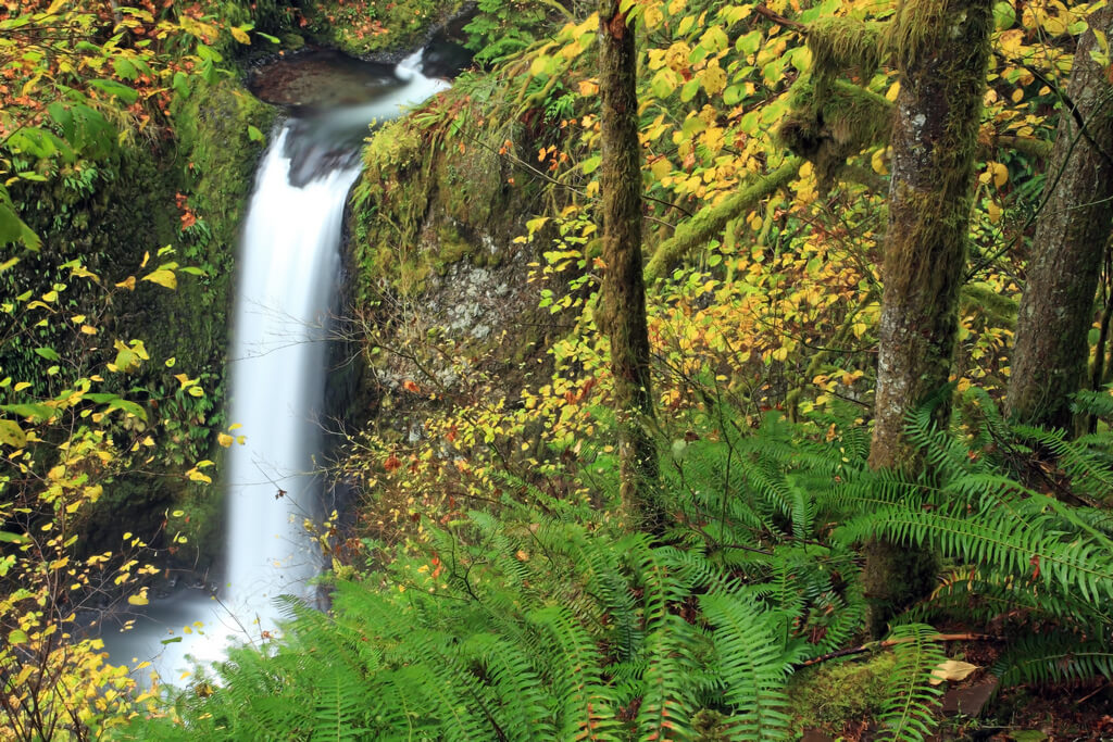 Caída de las cataratas Multnomah