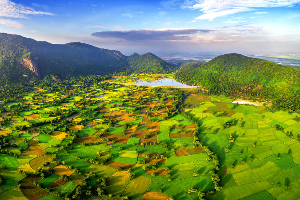 Campos de arroz en el delta del río Mekong