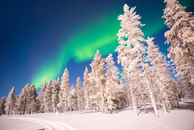Viajar a Laponia es descubrir un paraíso helado