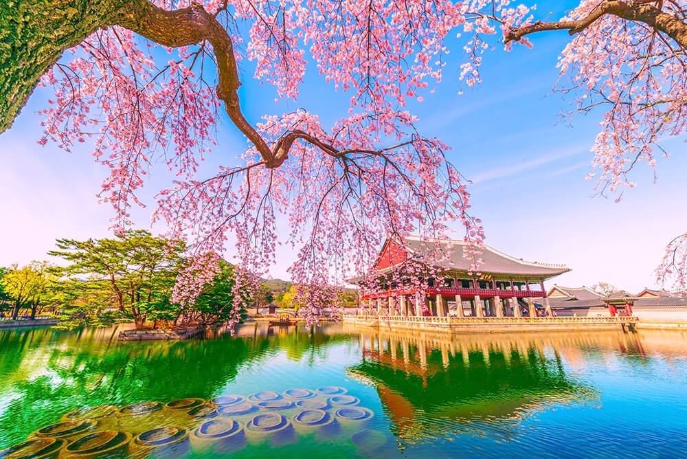 Palacio de Gyeongbokgung, de lomejor de Seúl