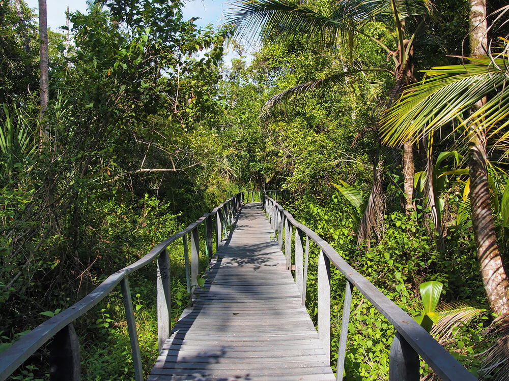 Parque Nacional Cahuita en Puerto Viejo