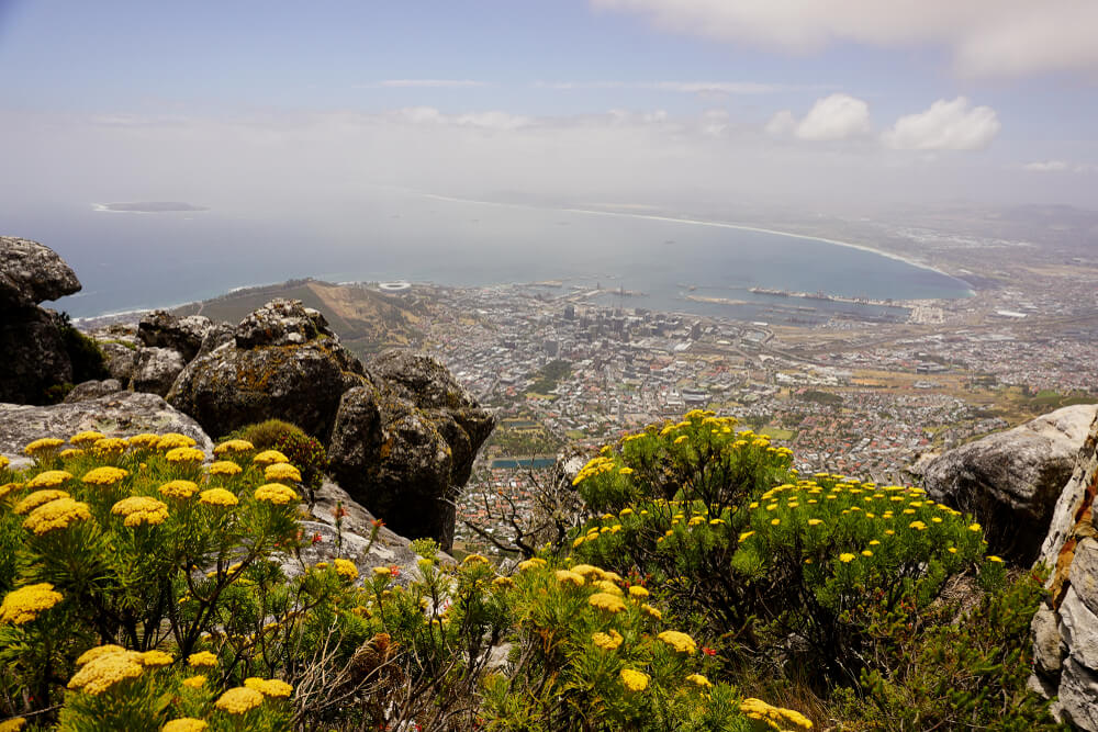 Vista desde la Table Mountain
