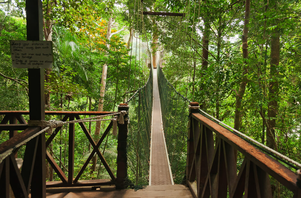 Canopy Walkway en Taman Negara