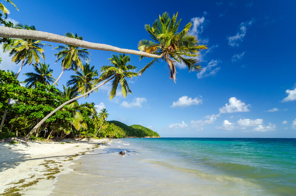 Playa en Providencia