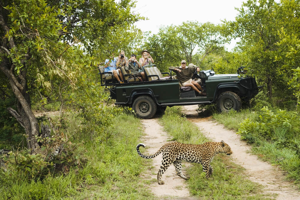 Safari en el Parque Kruger en Sudáfrica