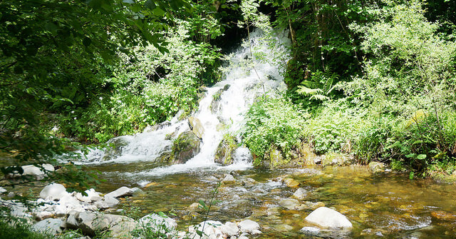 Salto del Águila en Ezcaray