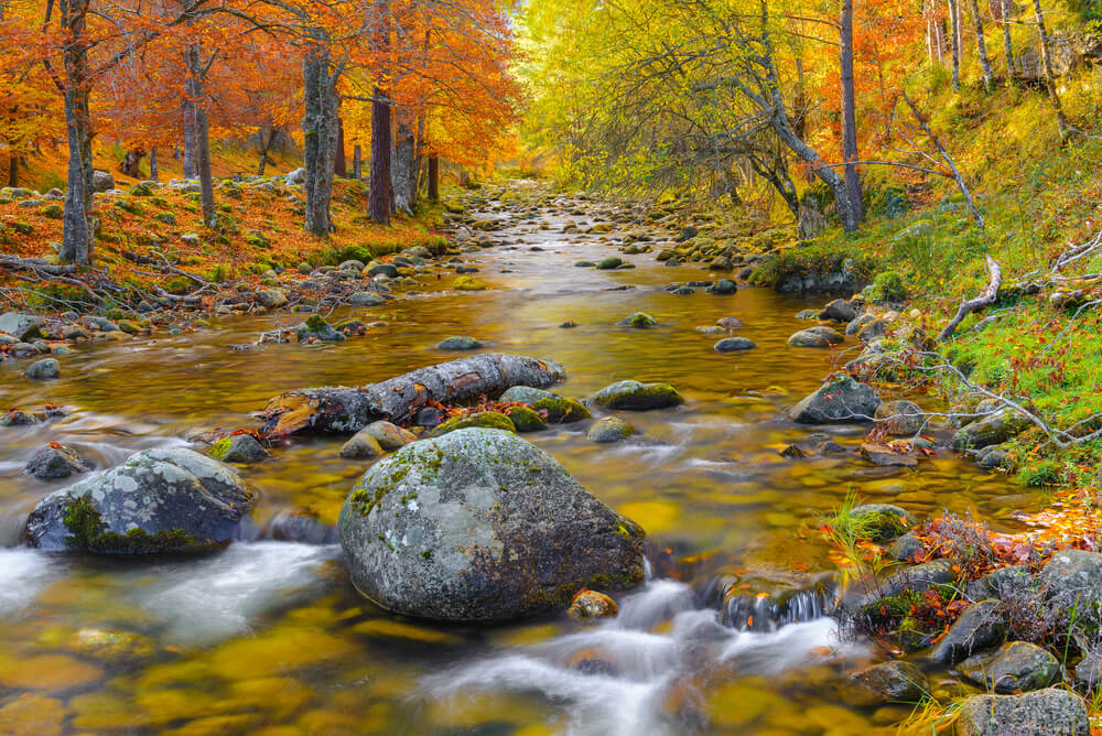 Parque Natural Sierra de Cebollera en otoño