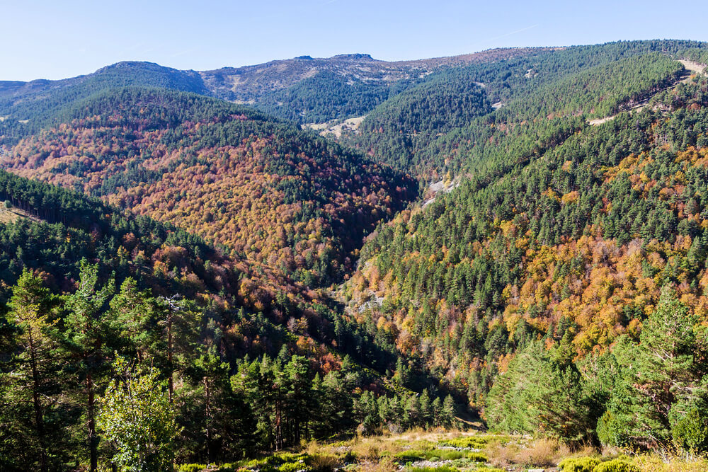 Sierra de Cebollera