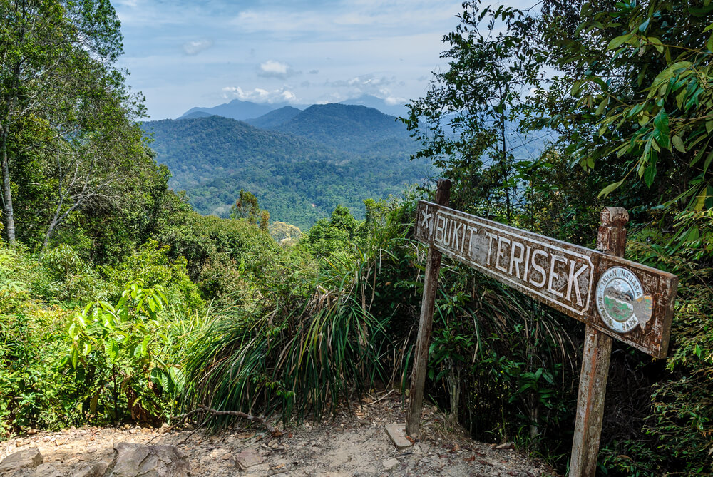 Vista de Taman Negara desde el pico Bukik Teresek